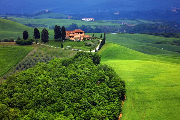 Paisaje Verano Toscana Italia Europa — Foto de Stock