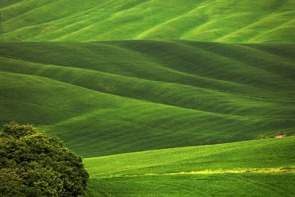 Летний Пейзаж Тоскане Италия Европа — стоковое фото
