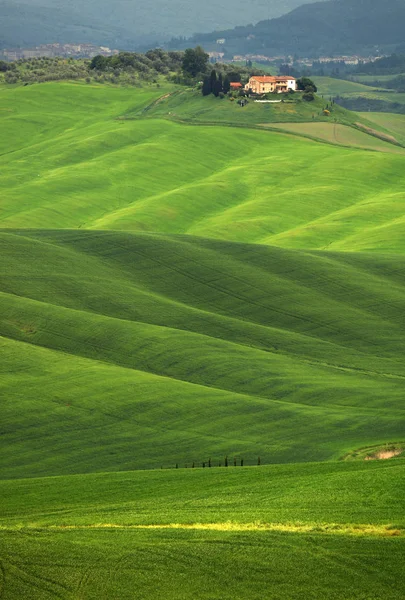 Summer Landscape Tuscany Italy Europe — Stock Photo, Image