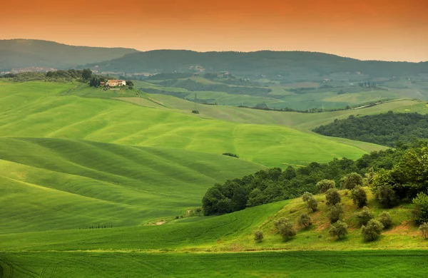 Letní Krajina Toskánsko Itálie Evropa — Stock fotografie