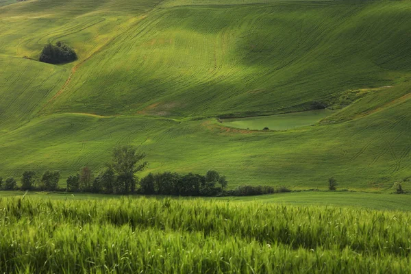 Sommerlandschaft Der Toskana Italien Europa — Stockfoto