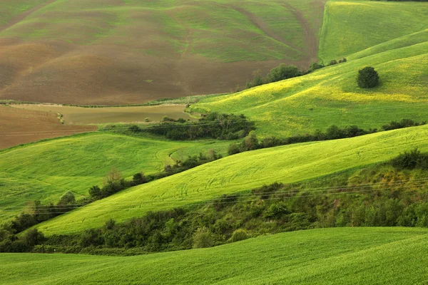 Summer Landscape Tuscany Italy Europe — Stock Photo, Image