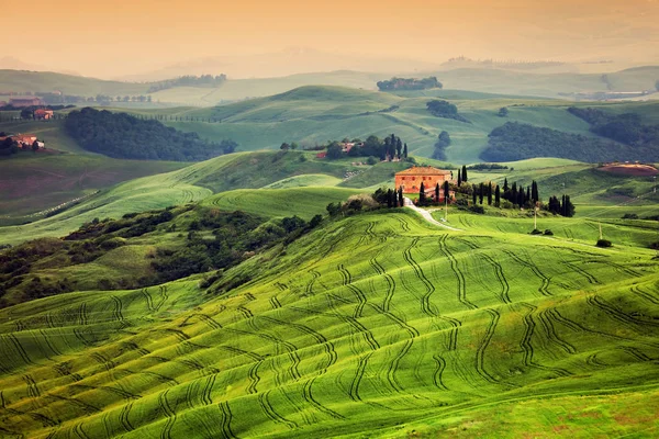 Літній Пейзаж Європі Тоскана Італія — стокове фото