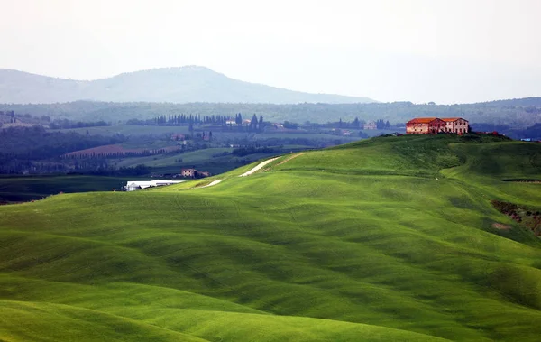 Paisaje Verano Toscana Italia Europa — Foto de Stock