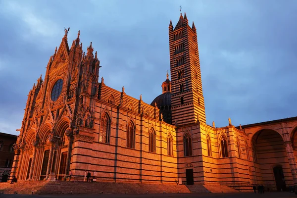 Wgląd Nocy Siena Katedra Santa Maria Assunta Duomo Siena Siena — Zdjęcie stockowe