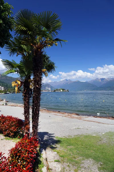 Sommer Nachmittag Landschaft Ufer Des Lago Maggiore Italien Europa — Stockfoto