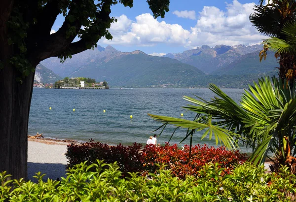 Summer afternoon landscape on the shore of Lake Maggiore, Italy, Europe