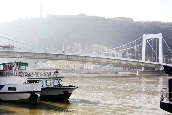 Tuna Nehri Panorama Budapeşte Macaristan Tuna Budapeşte Tuna Nın Görünümü — Stok fotoğraf