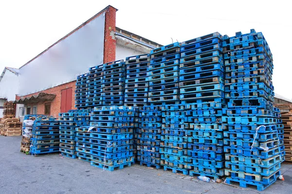 Lager Gebrauchter Blauer Holzeuropaletten Dock Eines Transportunternehmens — Stockfoto