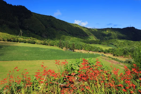 Sete Cidades Landscape Sao Miguel Island Azores Portugal — Stock Photo, Image