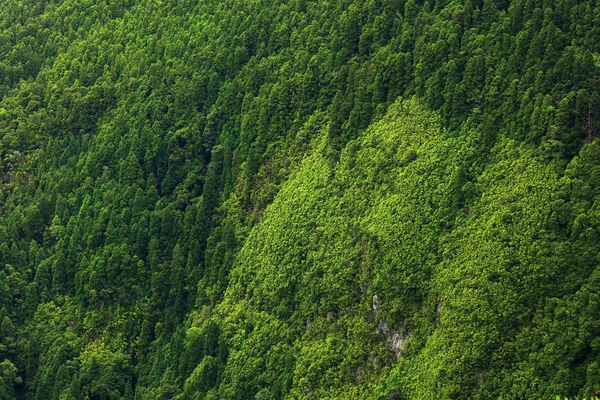 Paisaje Sete Cidades Isla San Miguel Azores Portugal — Foto de Stock