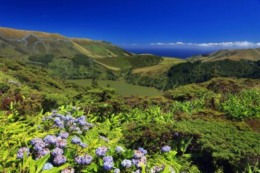 Lagoa Funda, Flores Adası, Azores, Portekiz, Avrupa