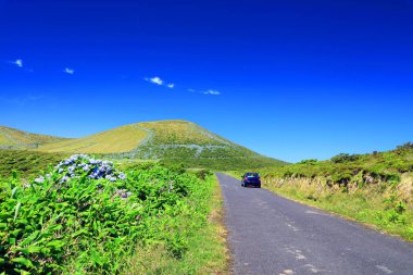 Alpine road on Flores Island, Azores, Portugal, Europe clipart