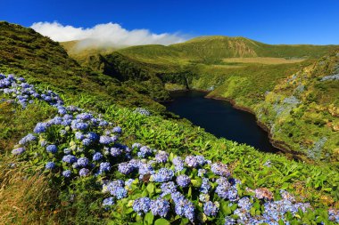 Lagoa Comprida, Flores Adası, Azores Takımadası, Portekiz, Avrupa
