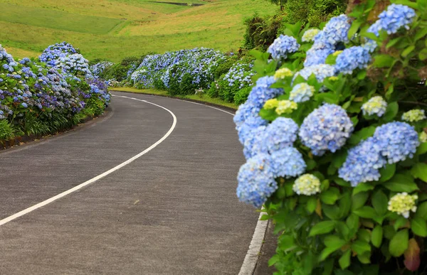 Strada Sull Isola Sao Miguel Sete Cidades Azzorre Europa — Foto Stock