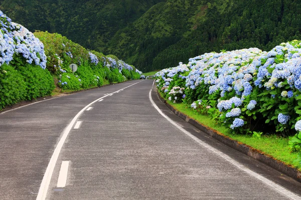 Road Sao Miguel Island Sete Cidades Azori Szigetek Európa — Stock Fotó