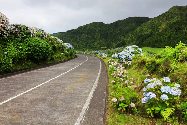 Road Sao Miguel Island Sete Cidades Azori Szigetek Európa — Stock Fotó