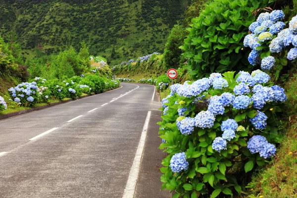 Straße Auf Der Insel Sao Miguel Sete Cidades Azoren Europa — Stockfoto
