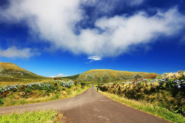 Alpenstraße Auf Floreinsel Azoren Portugal Europa — Stockfoto