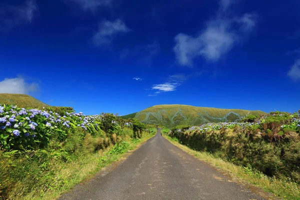 Camino Alpino Isla Flores Azores Portugal Europa — Foto de Stock