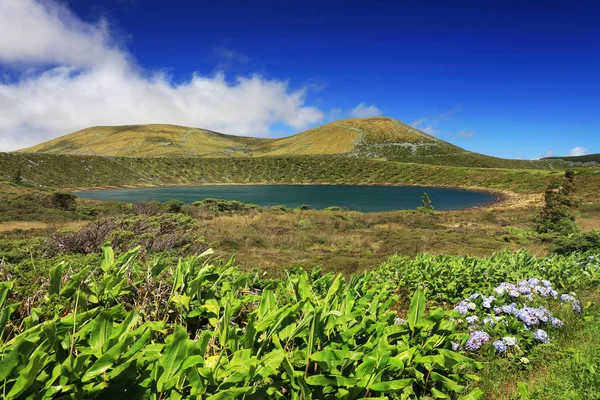 Lagoa Rasa Flores Island Azoren Portugal Europa — Stockfoto