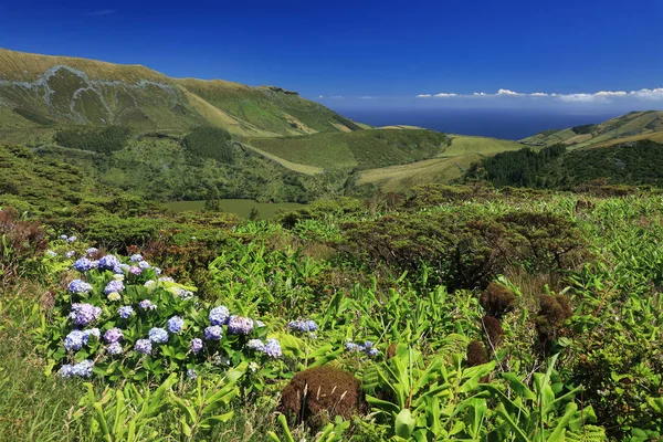 Lagoa Funda Flores Island Azori Szigetek Portugália Európa — Stock Fotó