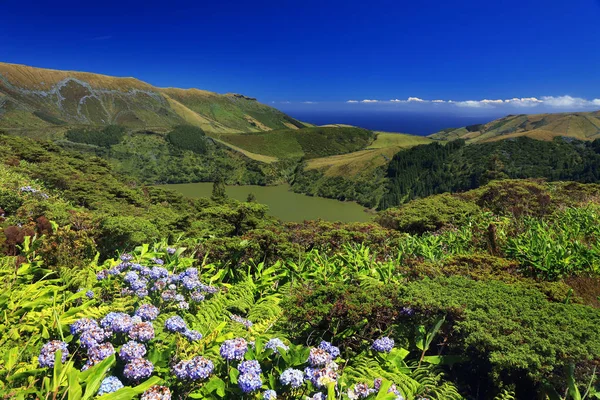Lagoa Funda Ilha Das Flores Açores Portugal Europa — Fotografia de Stock