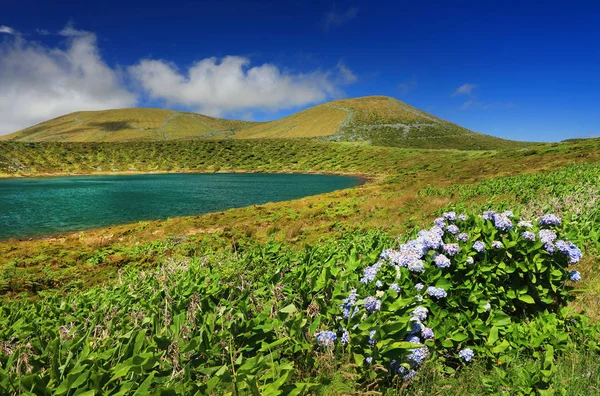 Lagoa Rasa Flores Island Azorerna Portugal Europa — Stockfoto