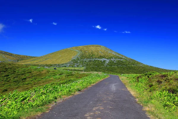 Alpine Volcano Road Flores Island Azores Portugal Europe — Stock Photo, Image