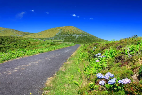 Alpine Road Flores Island Azores Portugal Europe — Stock Photo, Image