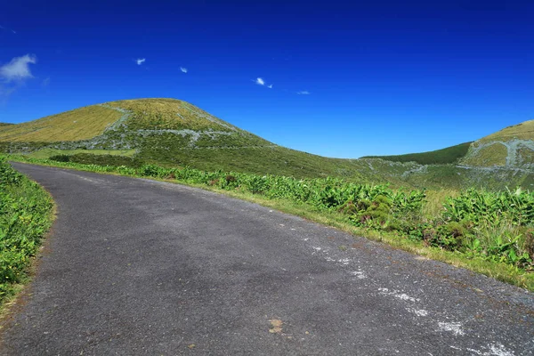 Route Volcan Alpin Sur Île Flores Açores Portugal Europe — Photo