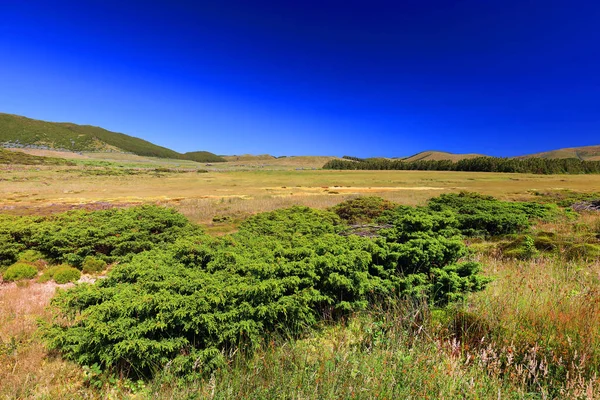 Idyllic Summer Landscape Island Flores Azores Portugal Europe — Stock Photo, Image