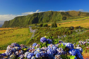 Flores Island, Azores, Portekiz, Avrupa'nın peyzaj