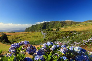 Flores Island, Azores, Portekiz, Avrupa'nın peyzaj