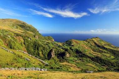Flores Adası'nda pastoral yaz manzara, Azores, Portekiz, Avrupa