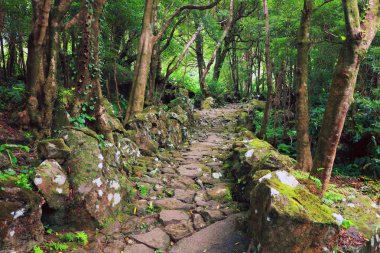 Pozo da Alagoinha, Pozo Ribeira do Ferreiro, Azores, Portekiz, Avrupa olarak da bilinir.