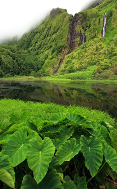 Pozo da Alagoinha, Pozo Ribeira do Ferreiro, Azores, Portekiz, Avrupa olarak da bilinir.
