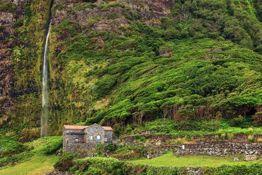 Waterfall landscape on Flores Island, Azores, Portugal, Europe clipart