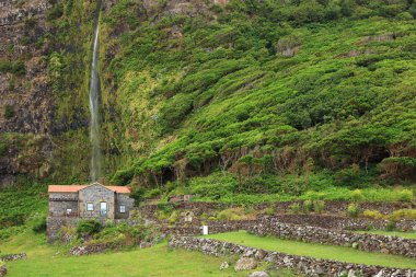 Flores Island, Azor Takımadaları, Portekiz, Avrupa peyzaj