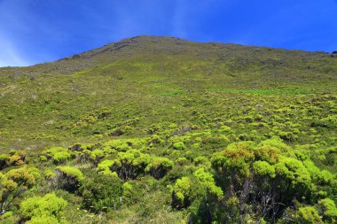 Pico Island, Azores, Portekiz, Avrupa konusunda Pico Volkan (2351m)