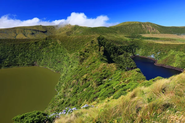 Lagoa Fonda Flores Island Azores Portekiz Europe — Stok fotoğraf