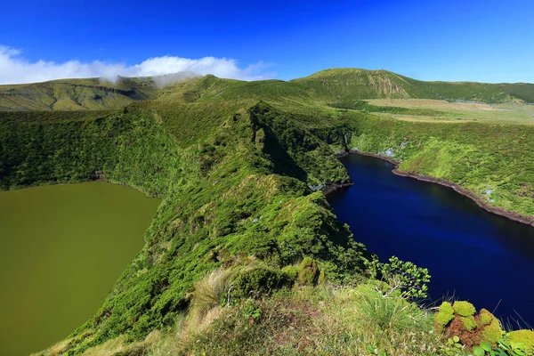 Lagoa Comprida Flores Adası Azores Takımadası Portekiz Avrupa — Stok fotoğraf