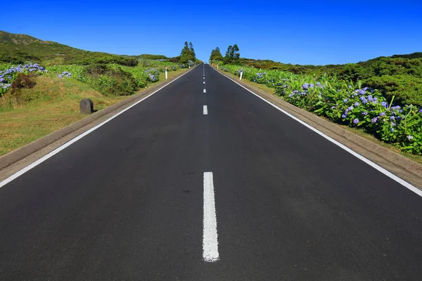 Route Volcan Alpin Sur Île Flores Açores Portugal Europe — Photo