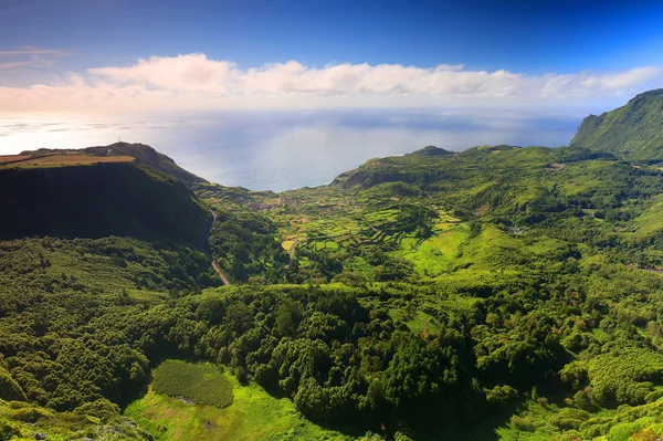 Landskap Flores Island Azorerna Portugal Europa — Stockfoto