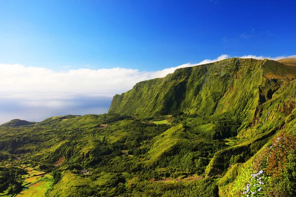 Ilha Das Flores Arquipélago Dos Açores Portugal Europa — Fotografia de Stock