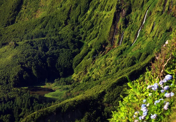 Paisagem Ilha Das Flores Açores Portugal Europa — Fotografia de Stock