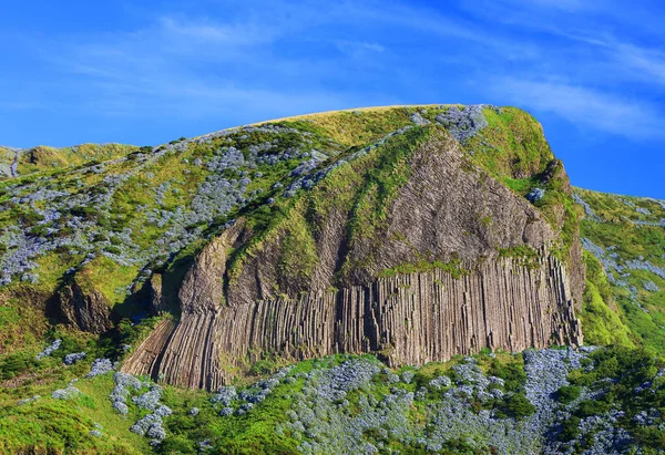 Bordoes Rock Sur Île Flores Açores Portugal Europe — Photo