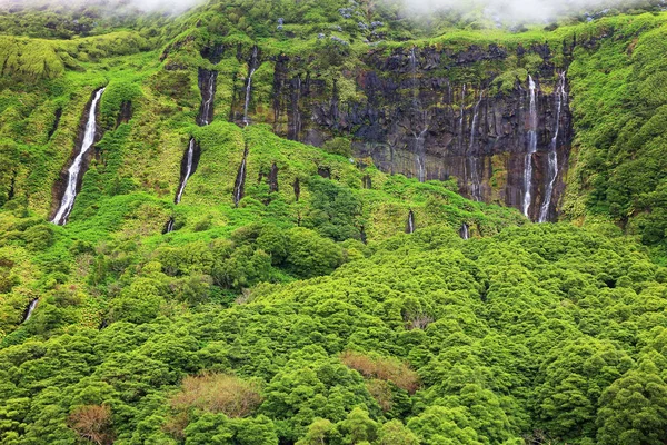 Pozo Alagoinha Ook Bekend Als Pozo Ribeira Ferreiro Azoren Portugal — Stockfoto