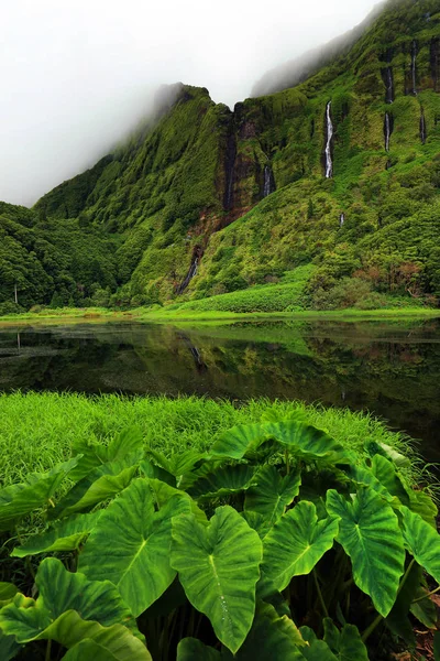 Pozo Alagoinha Também Conhecido Como Pozo Ribeira Ferreiro Açores Portugal — Fotografia de Stock