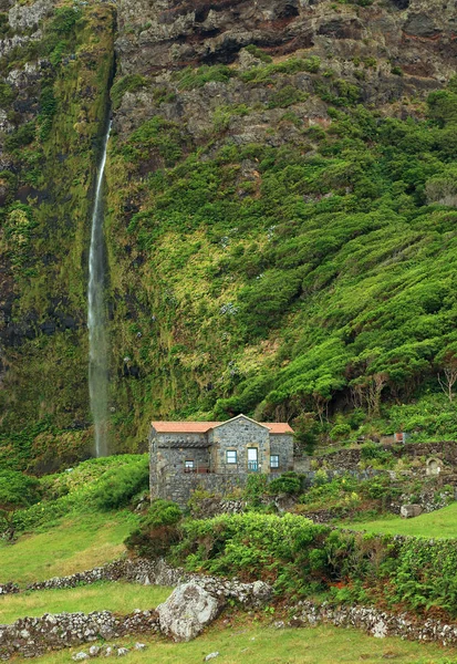 Flores Adası Nda Şelale Manzara Azores Portekiz Avrupa — Stok fotoğraf